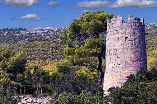 Οι μονοήμερες εκδρομές της άνοιξης σε Βόρεια Αττική και Βοιωτία